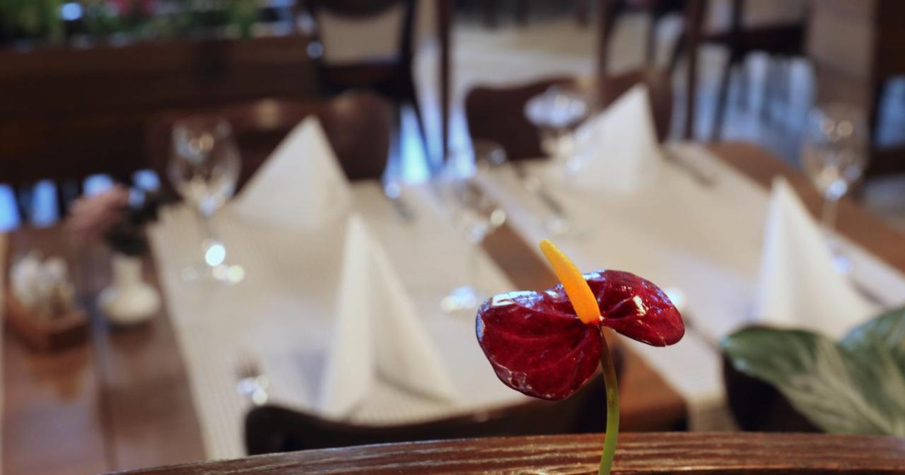 בוהין Hotel Tripic, Restaurant And Pizzeria מראה חיצוני תמונה